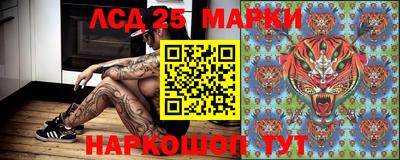 гидра Донецк