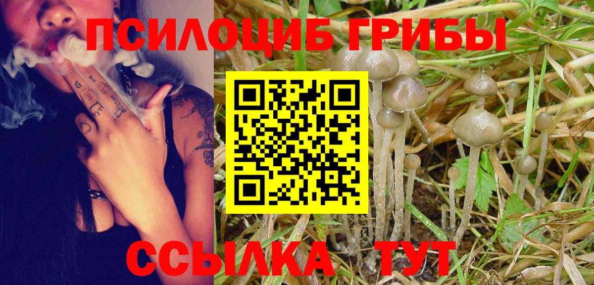 Нефтекамск  Галлюциногенные грибы GOLDEN TEACHER  Псилоцибиновые грибы мицелий  Вход с VPN 